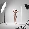 Professional Commercial Photography Equipment with Softbox Spotlight and Tripod Stands for Studio Shoots