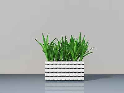 Bonsai Potted Plant With Green Long Leaves In White Striped Pot And Gray Wall Background 3d model