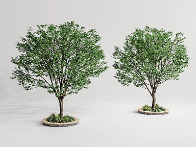 Two Green Arbor Trees With Brown Trunks Round Bases And Small Plants On Gray Background 3d model
