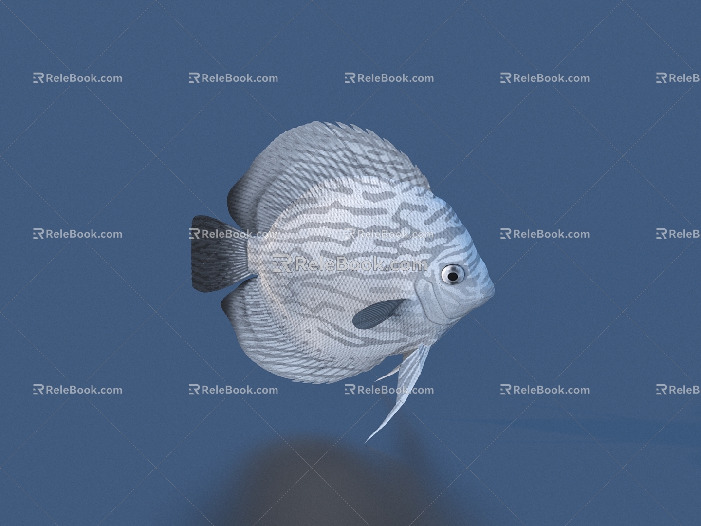 fish freshwater fish aquatic animal 3d model