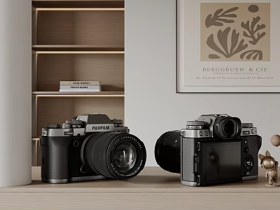 Vintage Style Digital Cameras Display With Shelves And Art Decor 3d model