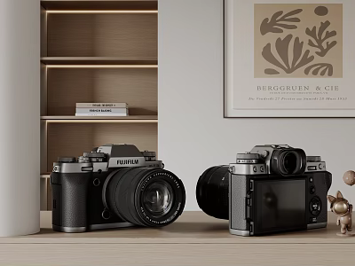 Vintage Style Digital Cameras Display With Shelves And Art Decor 3d model