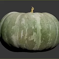 Fresh Green and White Pumpkin with Yellow Stem on Gray Background