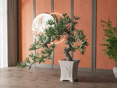 Bonsai Tree in White Ceramic Pot with Orange Wall Background and Wooden Floor 3d model