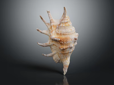 Spiky Conch Marine Animal With Spiral Shell On Dark Reflective Background 3d model