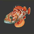 Vibrant Red And White Striped Aquatic Animal Displaying Detailed Fins And Bright Eyes