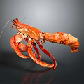Red Lobster With Curved Claws And Long Antennae On Dark Background
