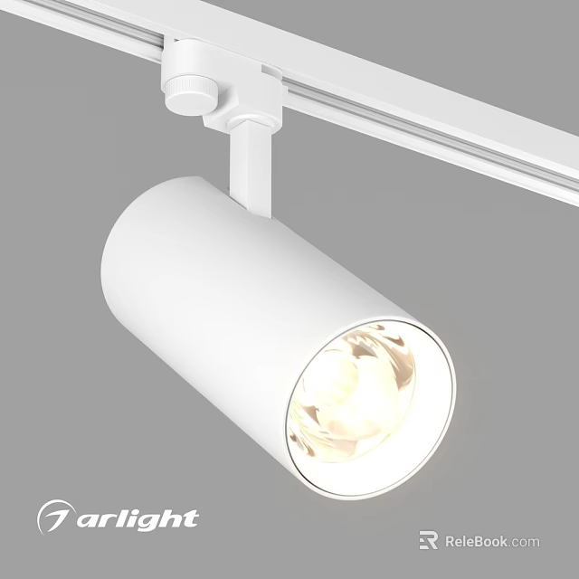 Modern Track Mounted Downlight Spotlight With White Finish For Home Lighting 3d model 
