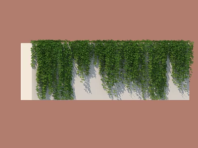 Lush Green Vines Growing Densely on White Wall with Natural Leaves 3d model