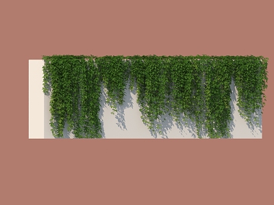 Plant Climbing Vine Plant Combination Wall Vine 3d model