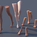 Women Legs In Various Poses And Skin Tones For Model