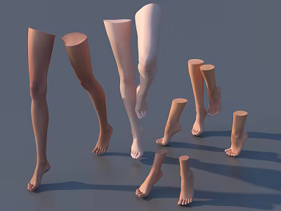 Women Legs In Various Poses And Skin Tones For Model 3d model