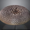 Fresh Natural Round Edible Mushroom With Brown And White Patterned Surface