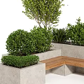 Stylish Bonsai Potted Plants In Concrete Planters With Wooden Bench And Green Shrubs