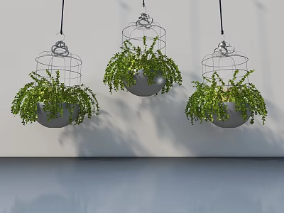 Hinged Door Interior With Hanging Metal Birdcage Planters And Green Plants 3d model