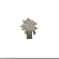 Natural Dried Pampas Grass in Striped Wooden Vase for Decorative Home Interior