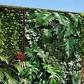 Vibrant Living Plant Wall with Lush Greenery Diverse Plants Wooden Planter Pebbles and Decorative Fox
