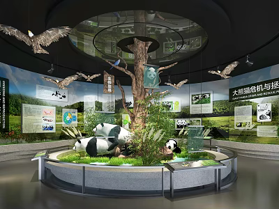 Giant Pandas Ecological Display In Museum With Tree And Information Panels 3d model