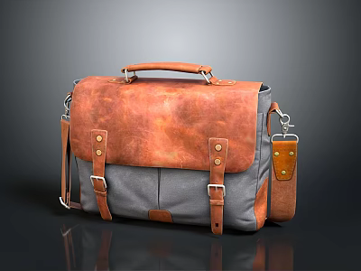 Vintage Brown And Gray Leather Canvas Messenger Bag With Brass Buckles And Shoulder Strap 3d model