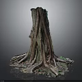 Natural Wood Stump With Spreading Tree Roots And Stone Textured Surroundings