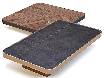 Coffee Table With Two Different Designs Wood Grain Top And Dark Upholstered Light Frame 3d model