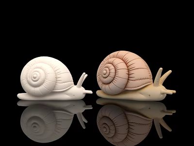Inflatable Snail Decorations With White And Light Brown Spiral Shells And Reflections On Black Background 3d model