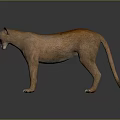 Realistic 3D Brown Cougar Standing with Open Mouth on Dark Background