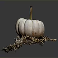 Fresh Small White Pumpkin Displayed On Dry Hay Bale With Gray Backdrop