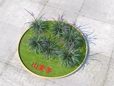 Liriope Spicata Plants In Circular Lawn Area With Green Grass And Purple Flower Spikes 3d model