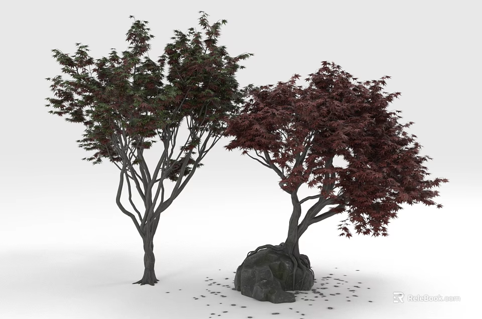 Two Ornamental Trees With Green And Red Leaves And Rock In Garden With Fallen Leaves 3d model 