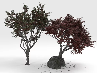 Two Ornamental Trees With Green And Red Leaves And Rock In Garden With Fallen Leaves 3d model