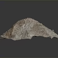 Ore Specimen Display Equipment With Textured Surface And Metallic Particles
