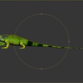 Lizard Anime Lizard Cartoon Lizard Reptile Cold Blooded Animal Reptile Reptile 3d model