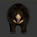 Fluffy Cartoon Bear With Dark Fur Light Nose And Open Mouth On Dark Background