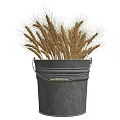 Stylish Silver Metal Bucket with Golden Wheat Ears on Black Background