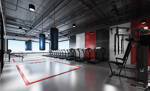 Private teaching area of modern gym 3d model