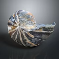 Natural Spiral Shape Decorative Ornament Combination With Gray White Brown Textures For Home Decor