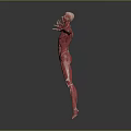 Human Muscle Organ Anatomy 3D Model With Extended Arms And Detailed Body Muscles