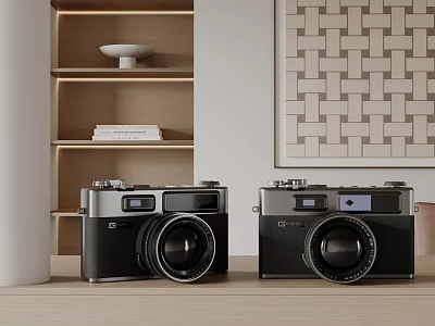 Vintage Cameras Displayed In Stylish Home Interior 3d model