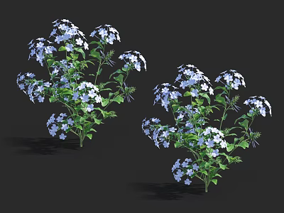 Clustered Blue And White Flowers On Bushes With Lush Green Leaves 3d model