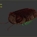 Detailed Trilobite 3D Model Featuring Compound Eyes Carapace Antennae And Legs