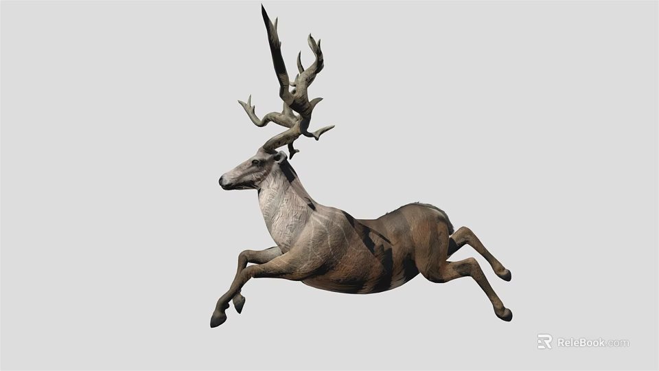 Realistic Brown Deer With Large Antlers Jumping Against Gray Background 3d model 