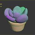 Colorful Succulent Plant with Purple Pink Light Green Leaves in Pink Pot on Dark Background