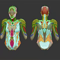 Smart Machine 3D Human Model Showing Muscle And Bone Structure For Medical Education