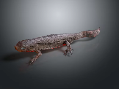 3D Rendered Salamander Character With Detailed Skin Texture And Red Body Features 3d model