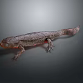 3D Rendered Salamander Character With Detailed Skin Texture And Red Body Features