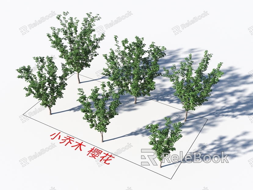 Small Trees Cherry Blossom Plants model