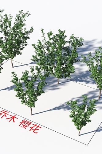 Small Trees Cherry Blossom Plants 3d model