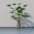 Green Leafy Bonsai Plant In Beige Pot For Modern Indoor Decoration