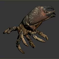 Realistic Aquatic Animal Crab With Dark Brown Shell Spotted Claws And Detailed Texture